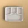 Product_name - Biodegradable sugarcane bagasse Product_type