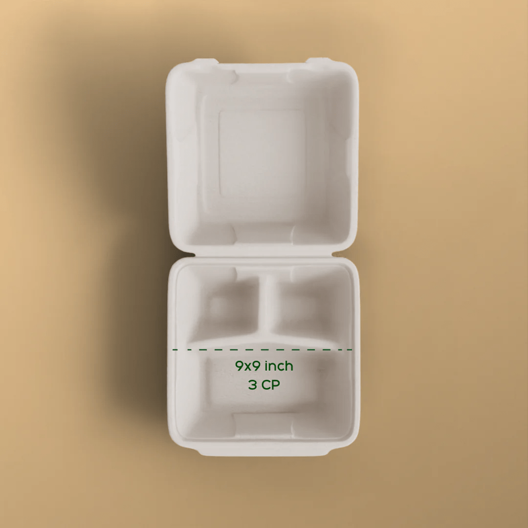 Product_name - Biodegradable sugarcane bagasse Product_type