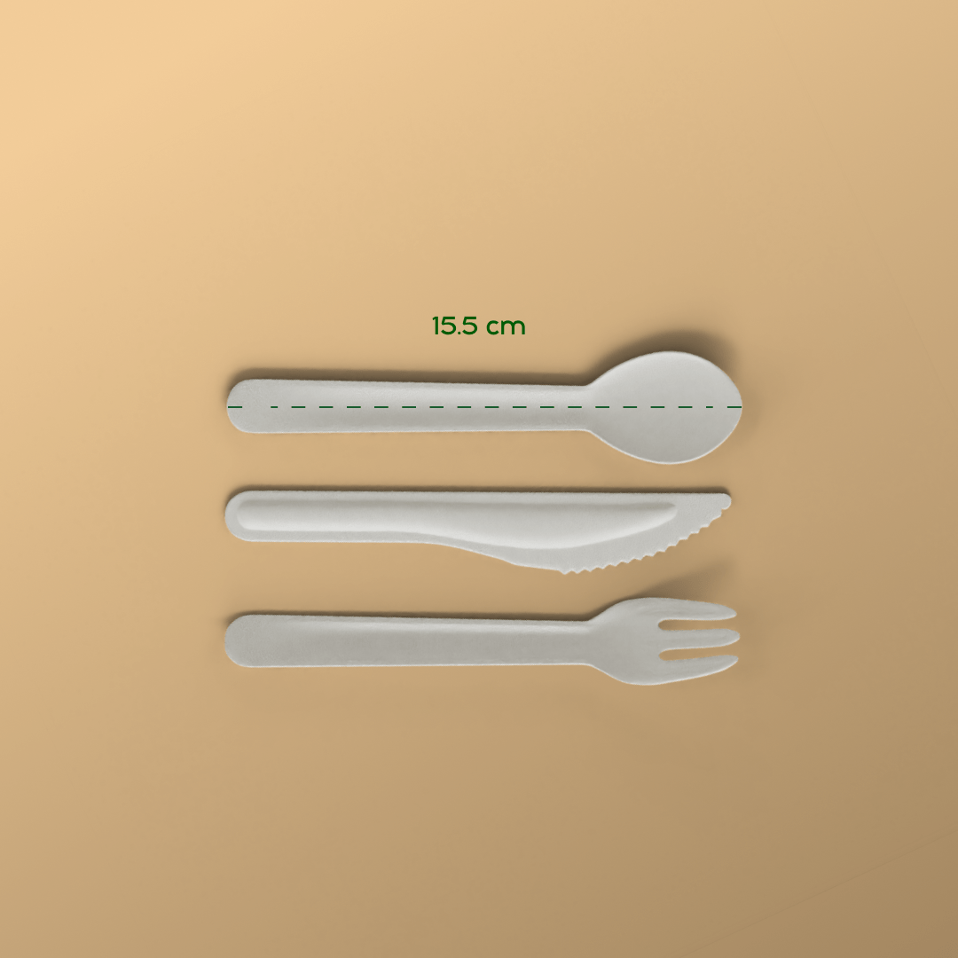 Product_name - Biodegradable sugarcane bagasse Product_type