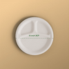 Product_name - Biodegradable sugarcane bagasse Product_type