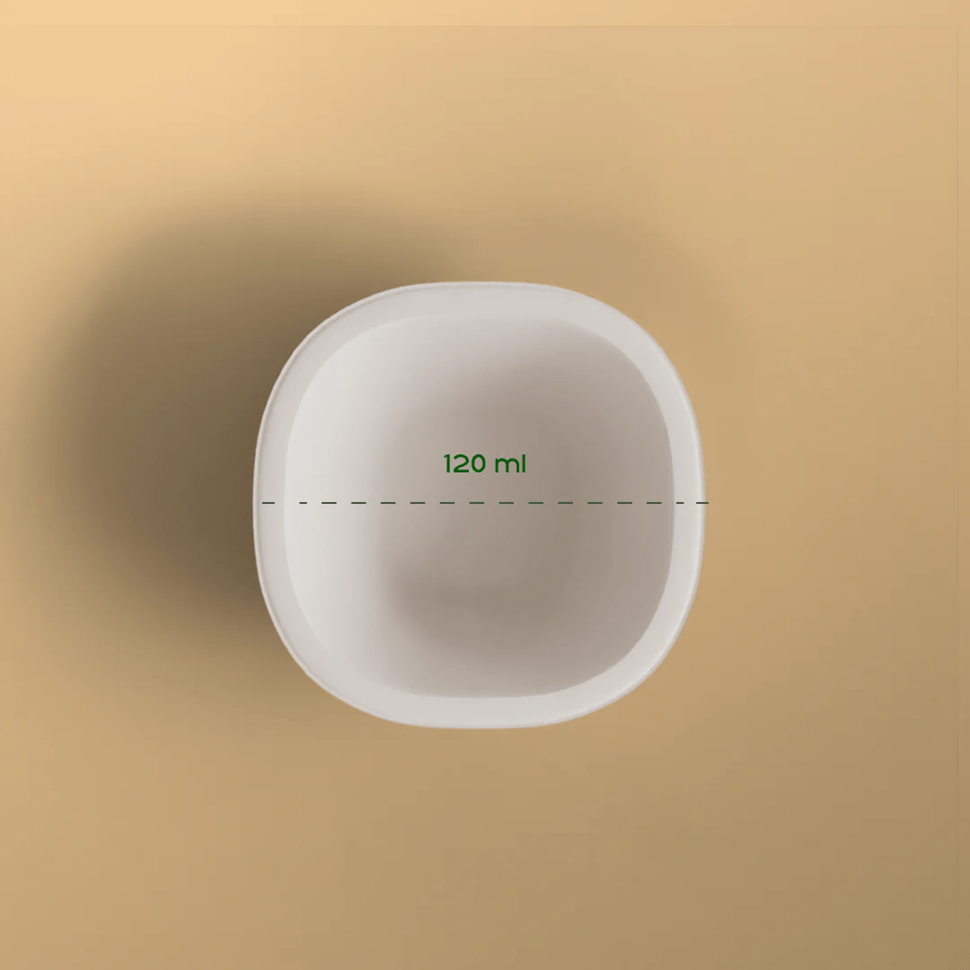 Product_name - Biodegradable sugarcane bagasse Product_type