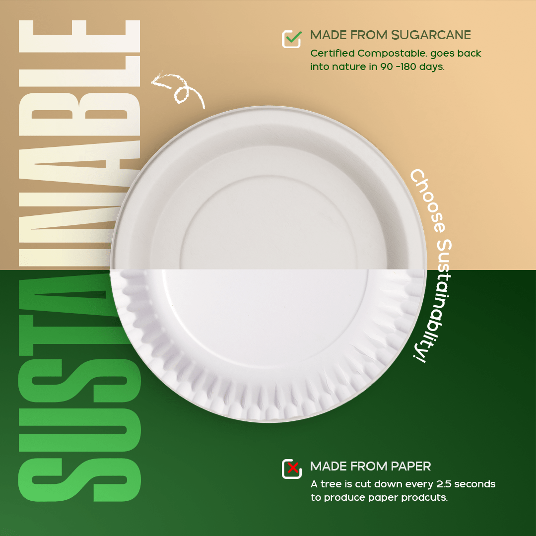 Product_name - Biodegradable sugarcane bagasse Product_type