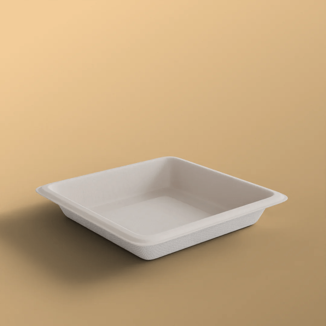 Product_name - Biodegradable sugarcane bagasse Product_type