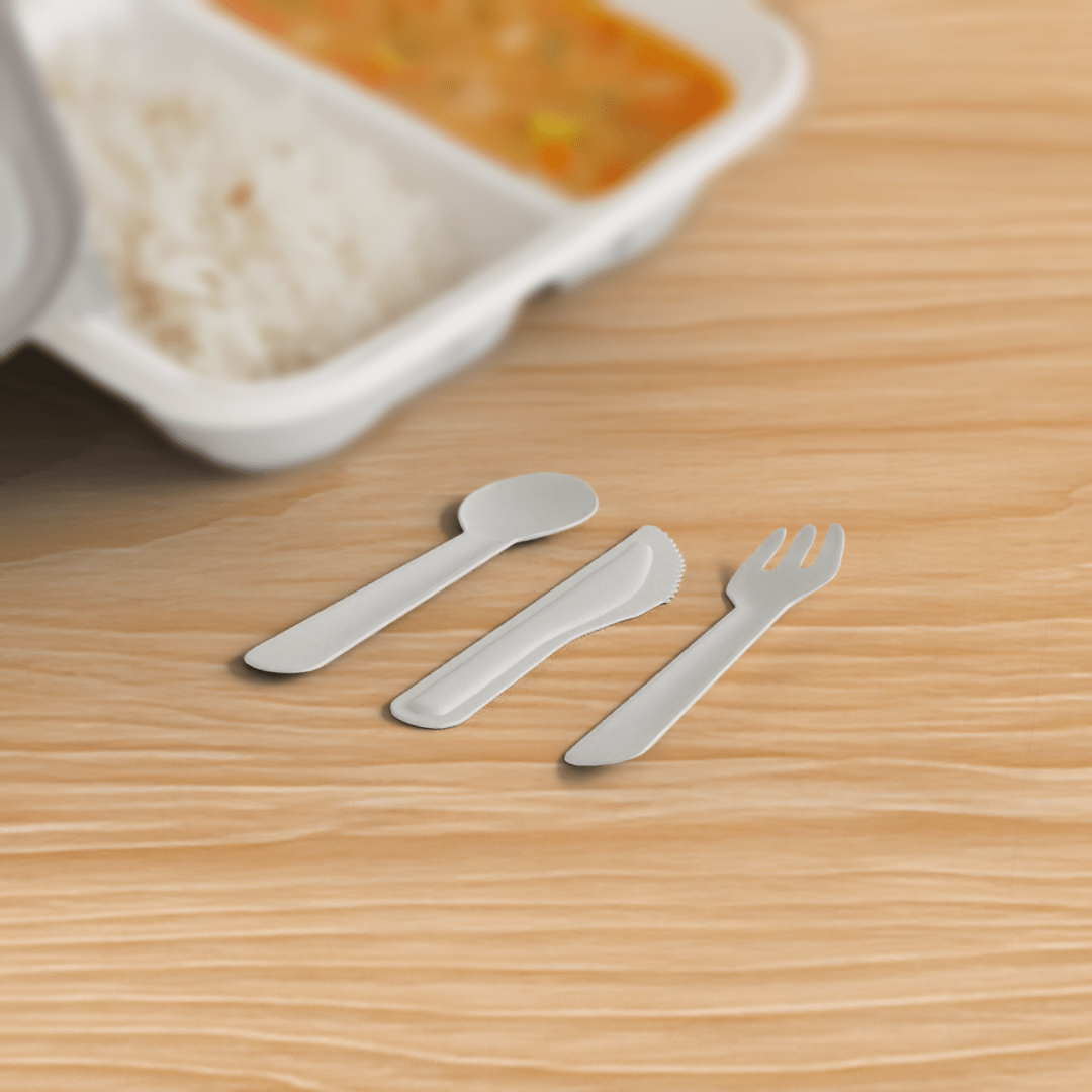 Product_name - Biodegradable sugarcane bagasse Product_type