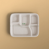 Product_name - Biodegradable sugarcane bagasse Product_type