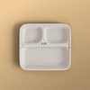 Product_name - Biodegradable sugarcane bagasse Product_type
