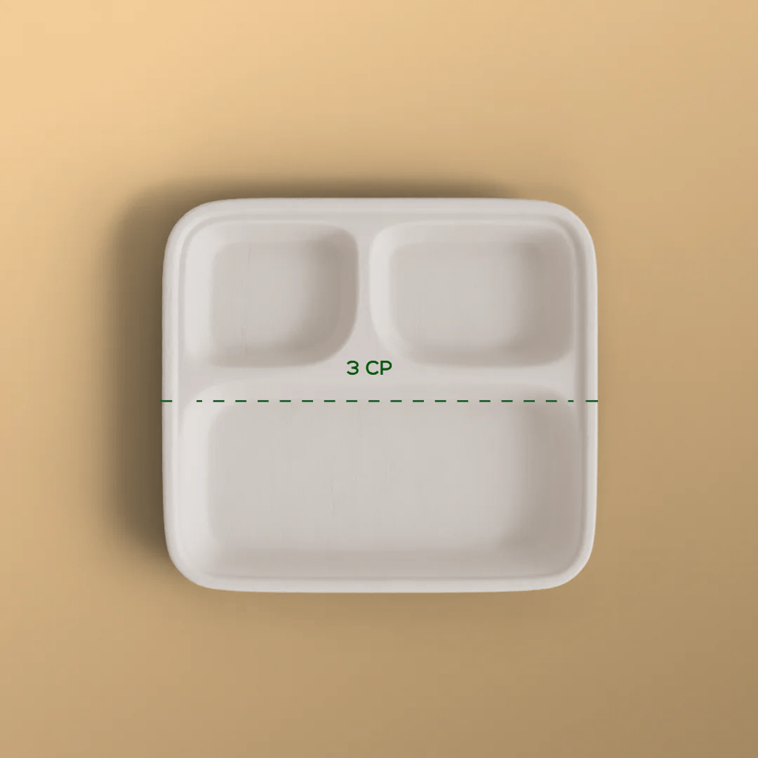 Product_name - Biodegradable sugarcane bagasse Product_type