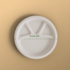 Product_name - Biodegradable sugarcane bagasse Product_type