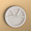Product_name - Biodegradable sugarcane bagasse Product_type