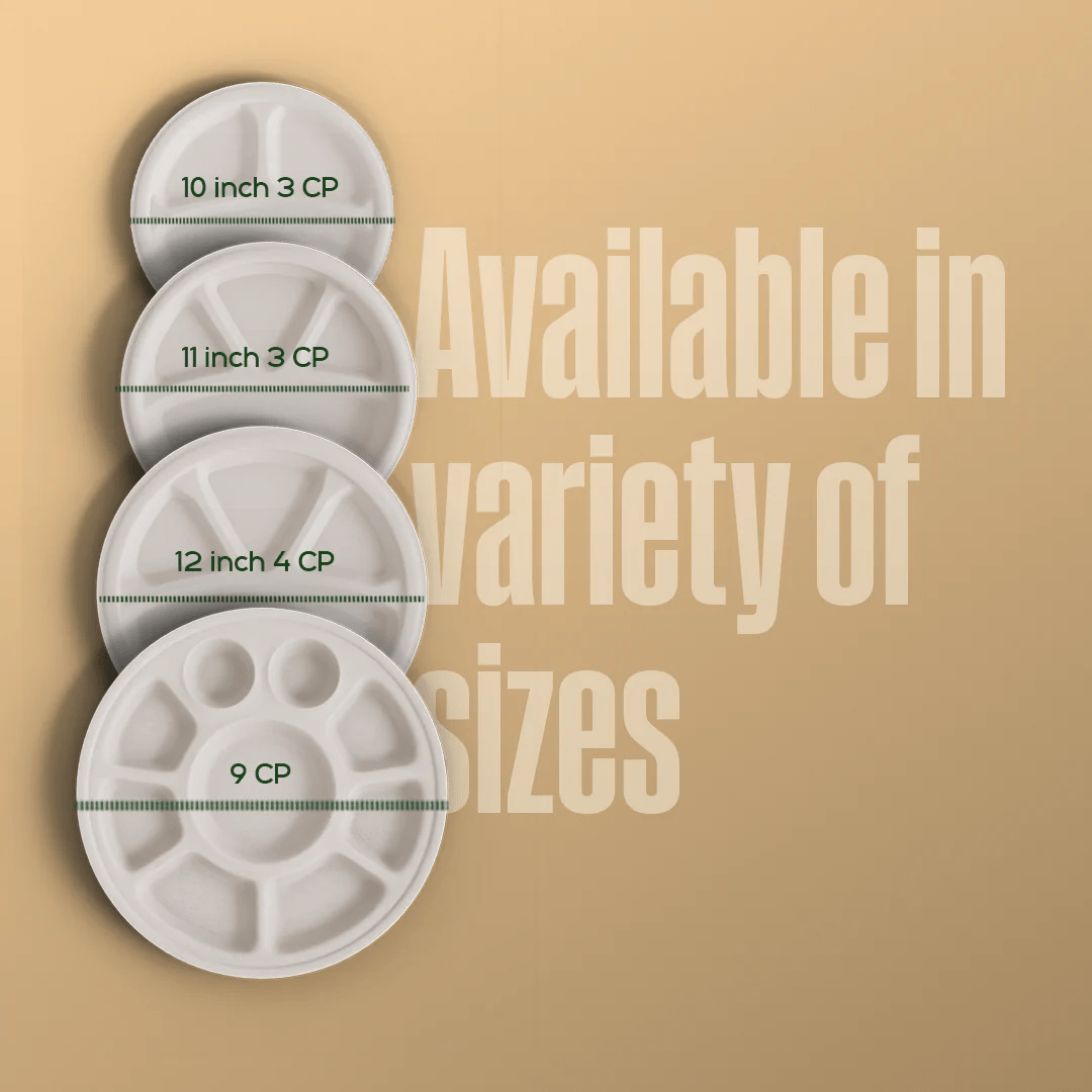 Product_name - Biodegradable sugarcane bagasse Product_type