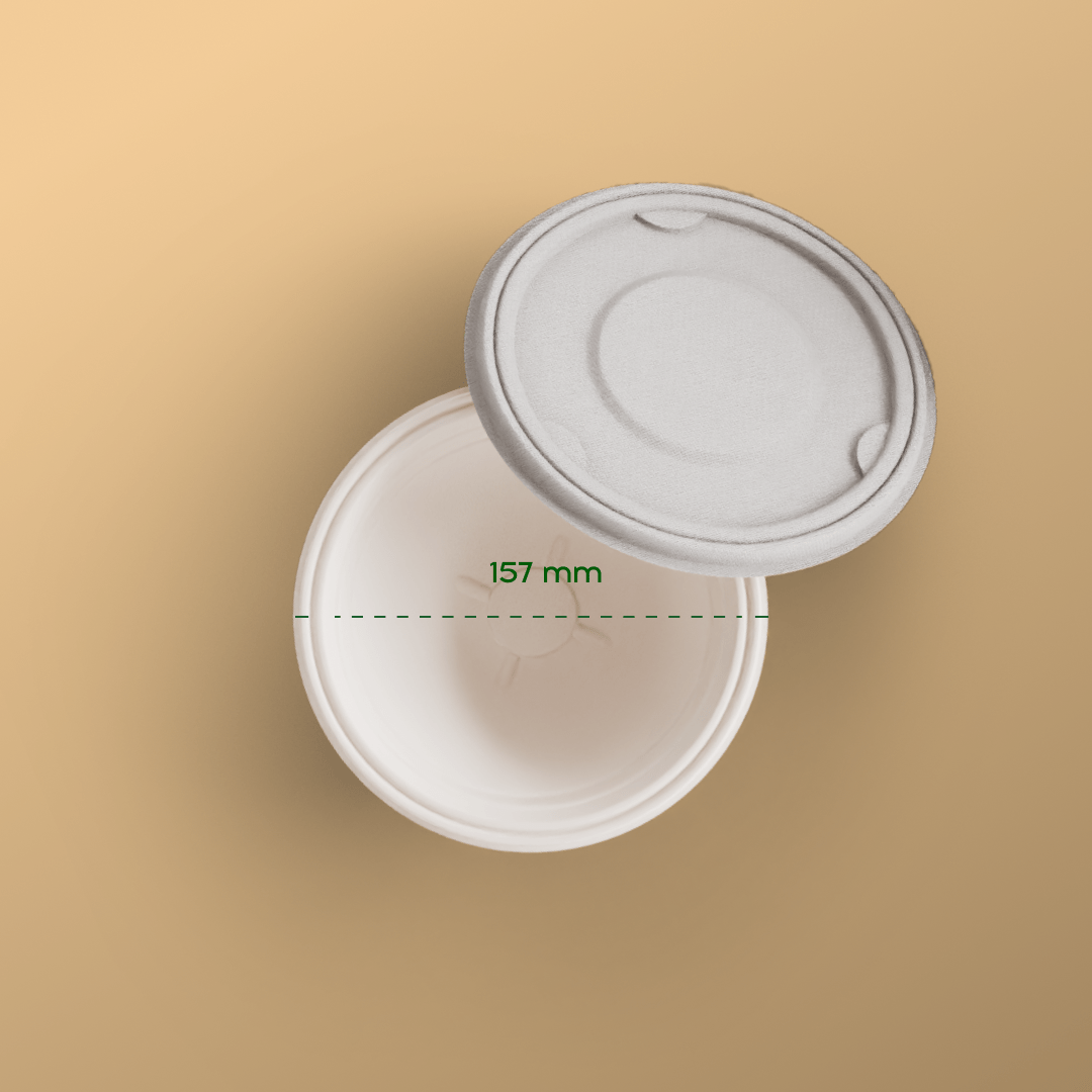 Product_name - Biodegradable sugarcane bagasse Product_type