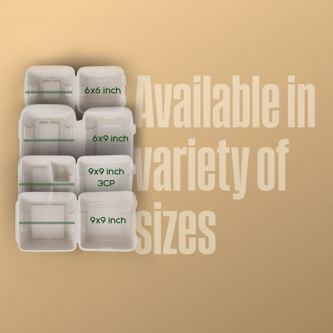 Product_name - Biodegradable sugarcane bagasse Product_type