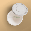 Product_name - Biodegradable sugarcane bagasse Product_type