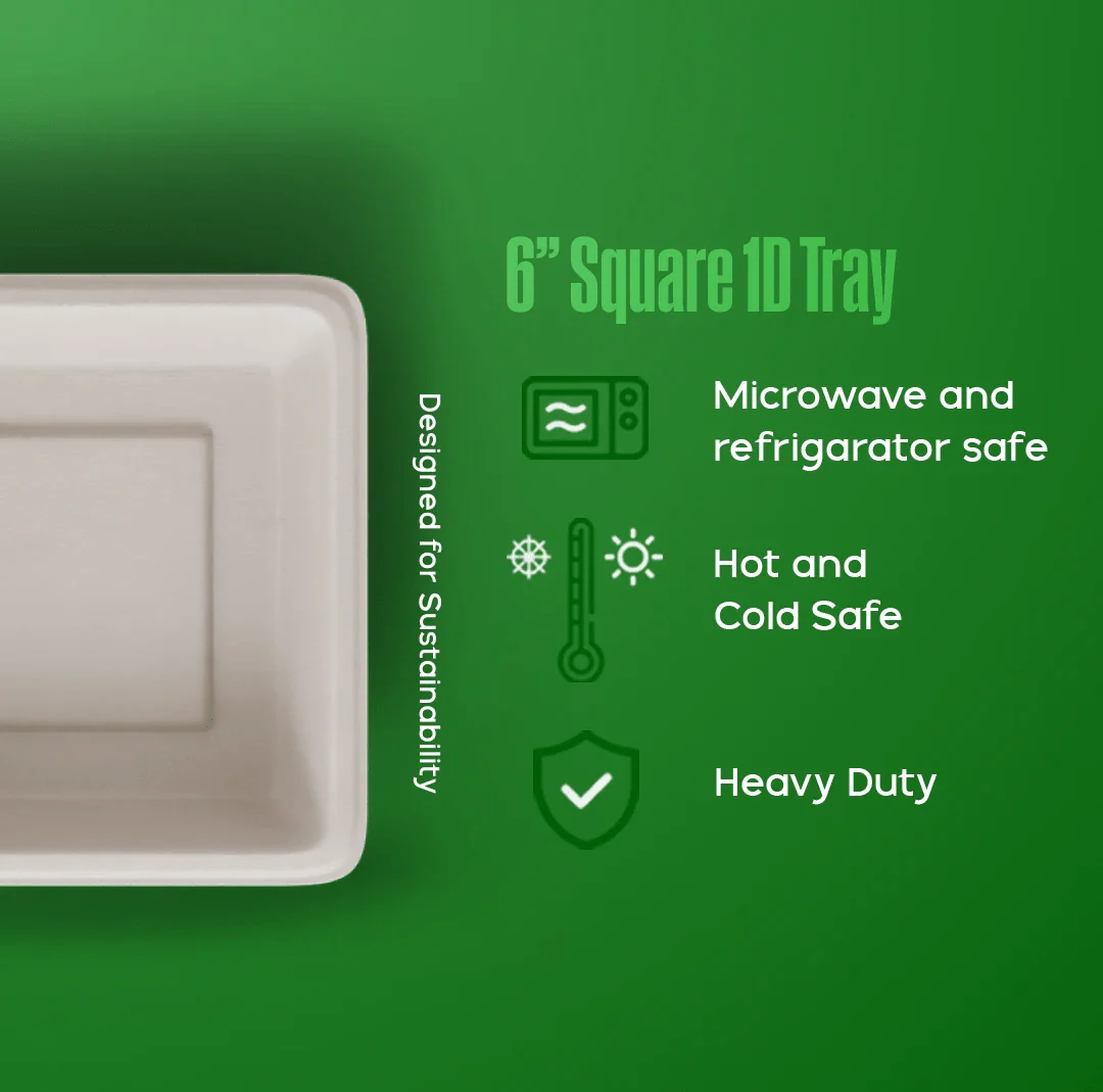 7 Inch Square Biodegradable Bagasse Plate | Compostable Eco Plate | EcoGreenz India