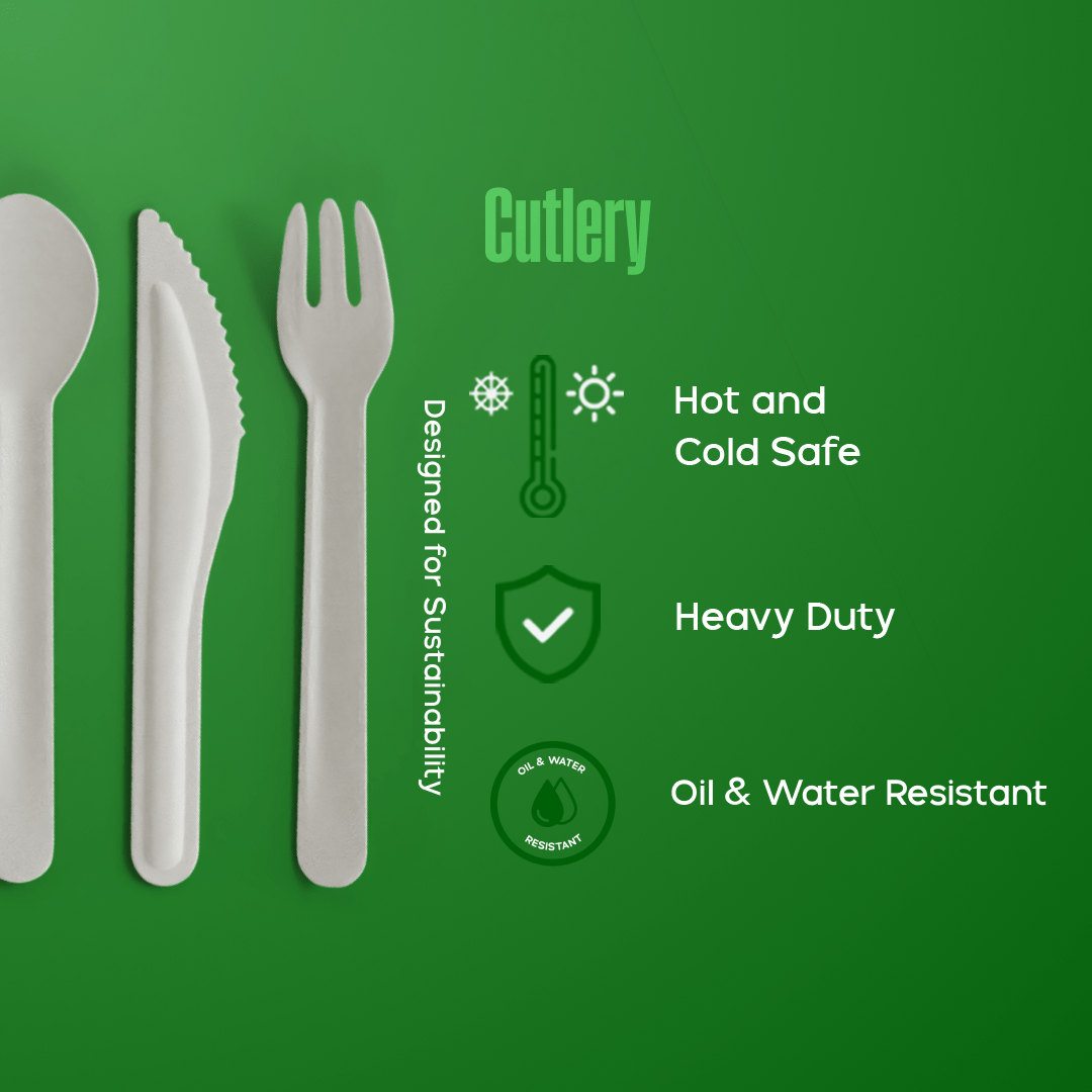 Product_name - Biodegradable sugarcane bagasse Product_type