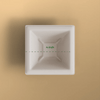 Product_name - Biodegradable sugarcane bagasse Product_type